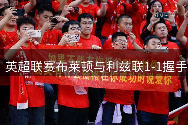 英超联赛布莱顿与利兹联1-1握手言和